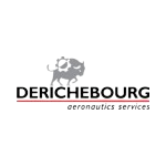 derichbourg-removebg-preview
